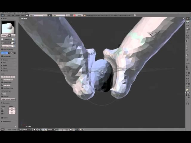 Blender Dynamic Topology Sculpting