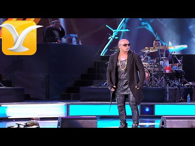 Wisin - Ahora es - Festival de Viña del Mar 2016 HD 1080P