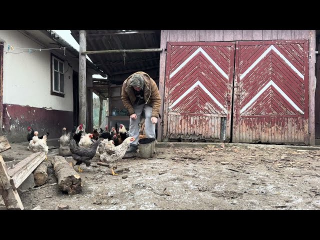 A Simple Morning in the Village: The Secret to a Happy Youth Far from Civilization