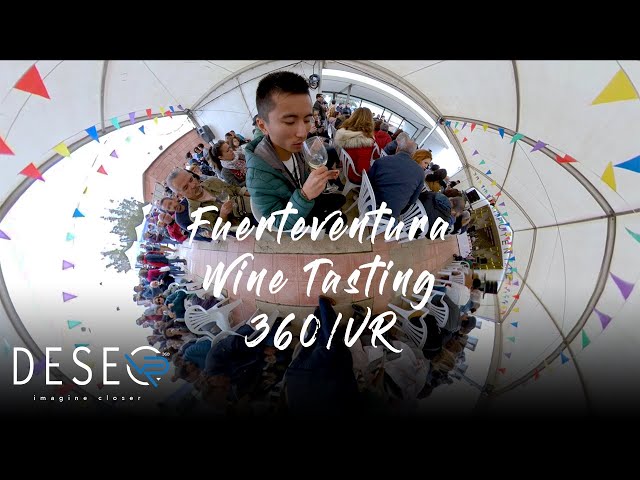 Fuerteventura | Wine Tasting | Travel Like a Local | 360 Video