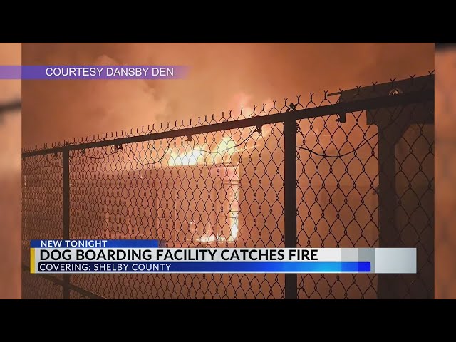 Dog boarding facility in Shelby County catches fire 4 times in one night, family looks to rebuild