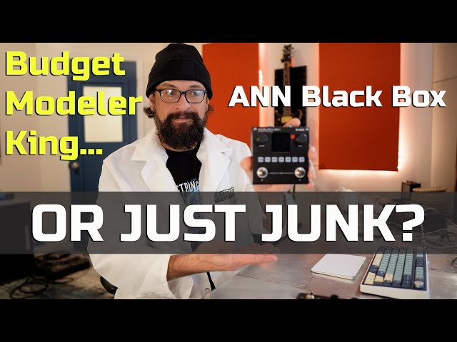 M-VAVE ANN Black Box: Can a Budget Modeler Hold Its Own against the Tonex?