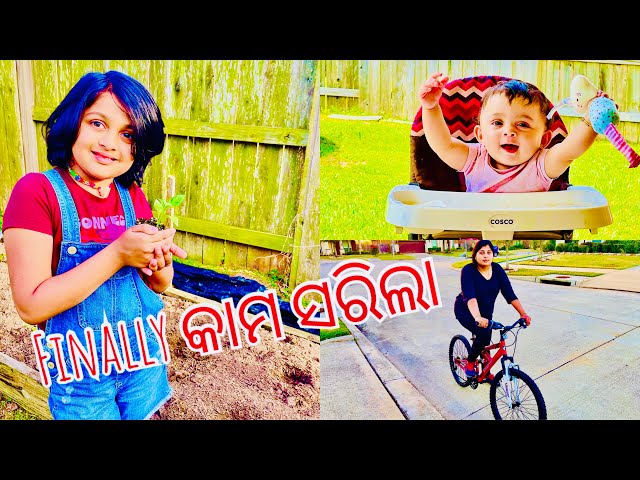 Gardening କରିଲା ବେଳେ ଗୋଟେ ବଡ ବିପଦ ରେ ପଡ଼ିଲୁ 😱 || Odia Vlogger in the USA