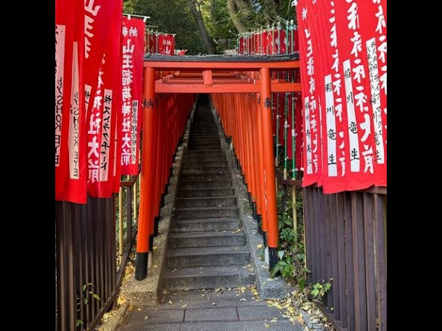 Exploring Tokyo's Red Gates in 4K 360