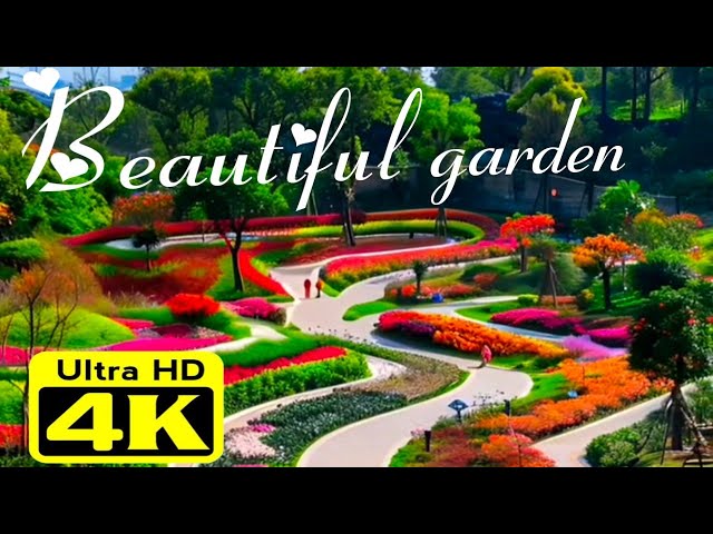 good morning || beautiful flower garden in the world || #viral