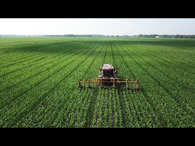 Tom Farms Cutting Tassels and Spraying on Seed Corn