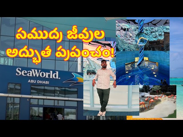 Sea World Abu Dhabi EXPLORED in My Telugu Vlog!