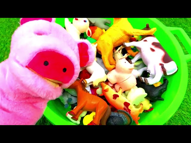 Tub of Farm Friends: 9 Minutes of Animal Fun