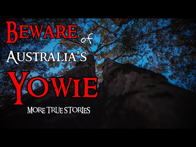 MORE True Yowie encounter's |Australian cryptid| REAL interview| SCARY!