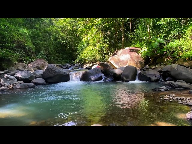 Crystal Clear Mountain Stream: Soothing Water Sounds for Deep Relaxation