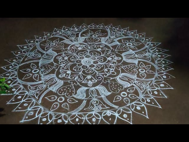 sparrow rangoli🐦#goldensparrow#sparrow#muggulu #rangoli#shortsfeed #dialyvlog#kolam#design#village