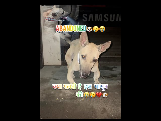 abanoded 😭| क्या गलती है इस मासूम बच्चे की #dog