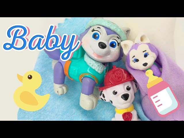 Paw Patrol Marshall & Everest Baby Skye visits Friend Pup Learn Colors for Children