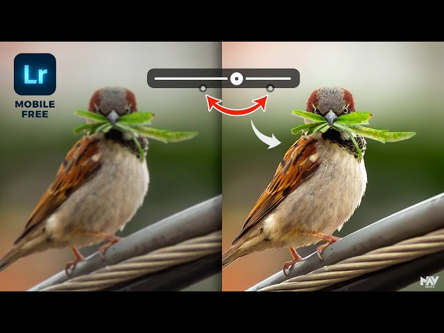 Use This TRICK to SHARPEN Your Images in Lightroom App | Reduce Noise | Android | iOS