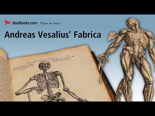 Andreas Vesalius' De Humani Corporis Fabrica (On The Fabric of the Human Body) or The Fabrica