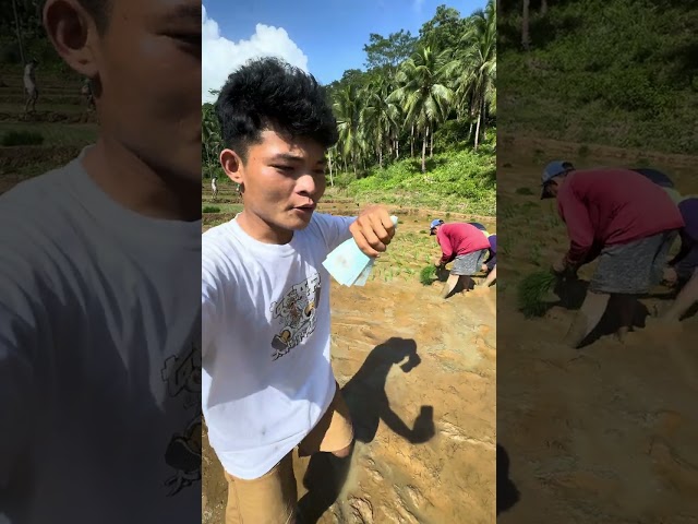 Pabilisan Sa Pagtatanim BATCH 1 (Kill-eye Real Vlog Vlog)