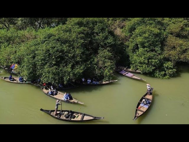 ঘুরে আসুন রাতারগুল সোয়াম্প ফরেস্টে Vlog-1