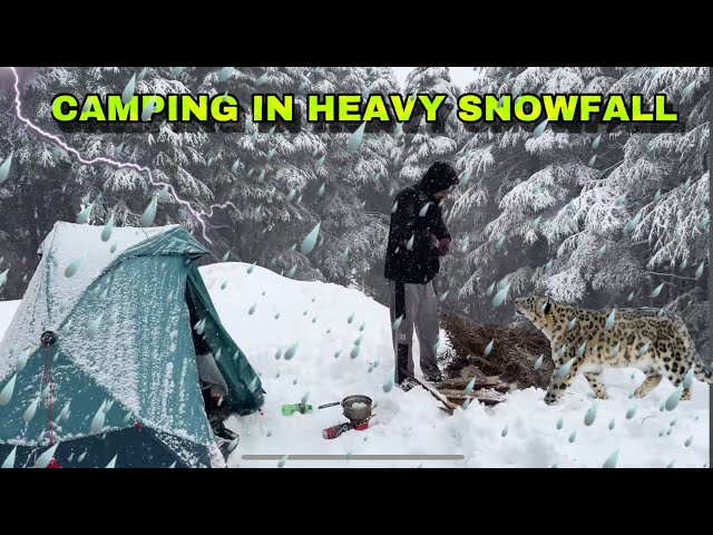 Snow Camping in heavy snowfall | बर्फ़ में  कैंपिंग | Winter snow CAMPING IN INDIA 🇮🇳