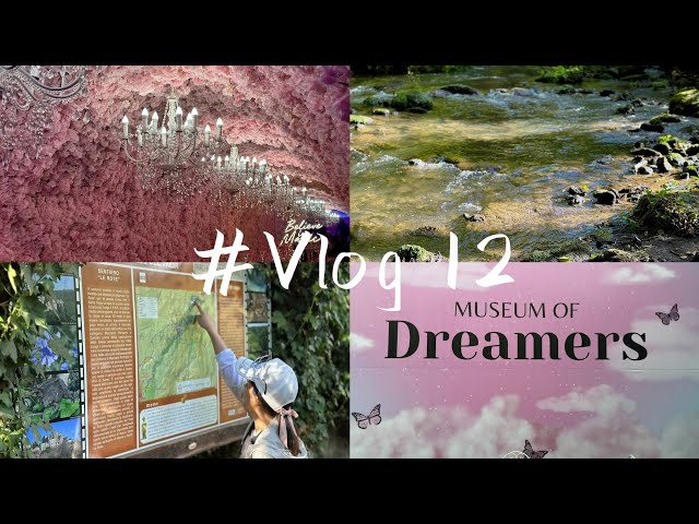 Vlog 12