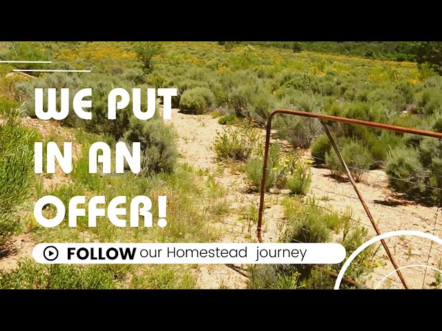 Seizing a golden opportunity in the Klein Karoo - Our jaw-dropping homestead land offer!