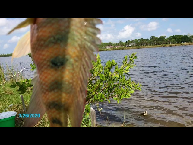 Pine Island Conservation Area