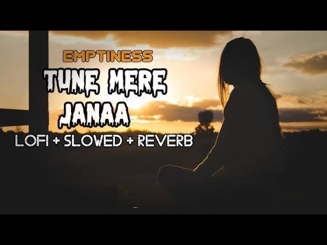 Tune Mere Jana Lofi Song || तूने मेरे जाना || its viren