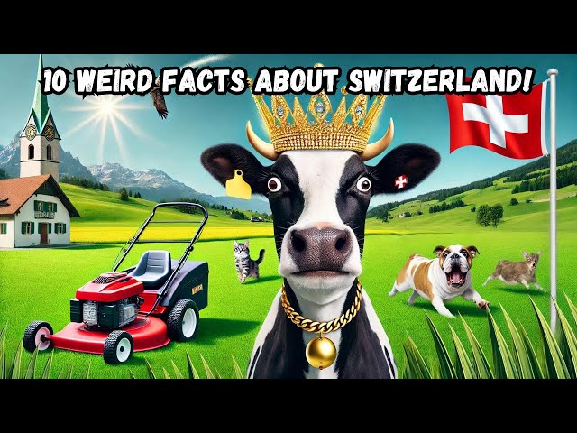 10 Weird and Wonderful Facts About Switzerland