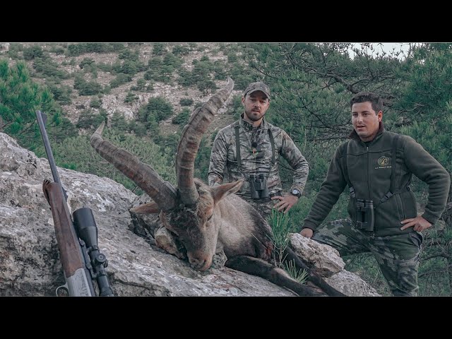 Hunting Ibex in Murcia