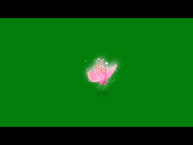 pink butterfly green screen effects | flying butterfly green screen | green screen butterfly video