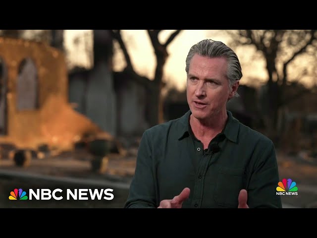 Gov. Newsom says he’s organizing a Marshall Plan to reimagine ‘L.A. 2.0’ after wildfires