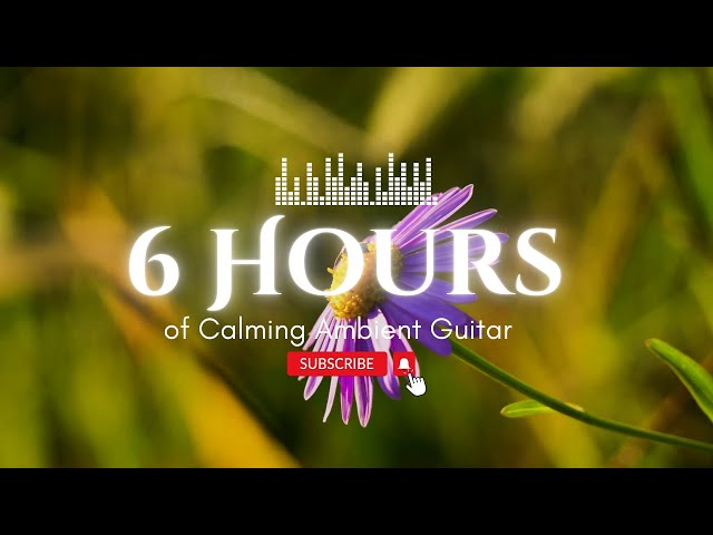 6 Hours of Calming Ambient Guitar – Dare to Relax