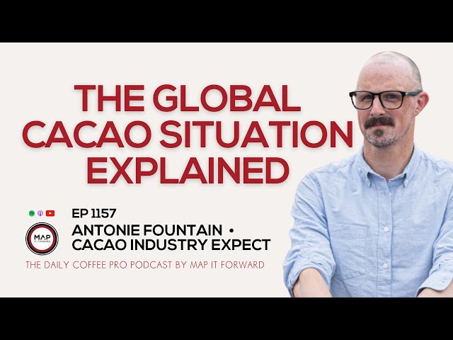 EP1157 Understanding the Cacao Market - Antonie Fountain | Daily Coffee Pro Podcast #cocoa