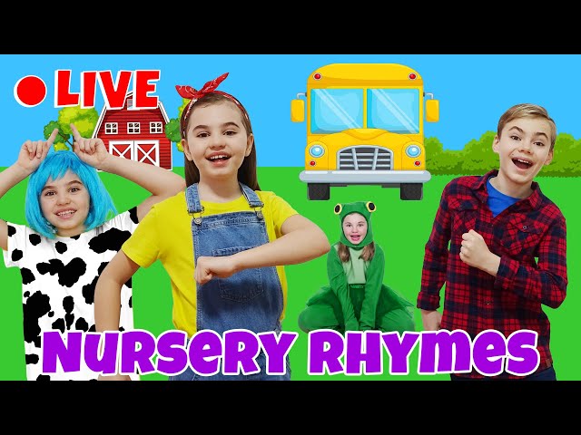 🔴 Nursery Rhymes - Wheels on the Bus, Baby Shark, Balloons Finger Family  - 24/7 Livestream