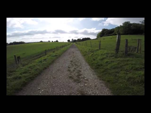 Walking Gatton Park