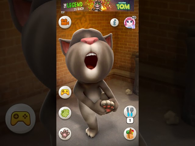 Talking Tom Cat #shorts