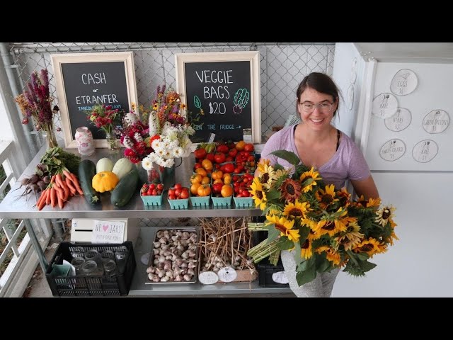 Maximum Summer Abundance | August Farm Tour