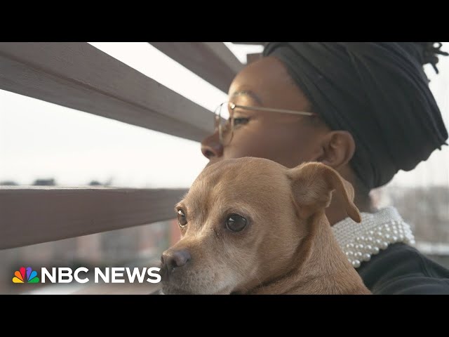 'PALS' program helps domestic violence survivors stay with pets