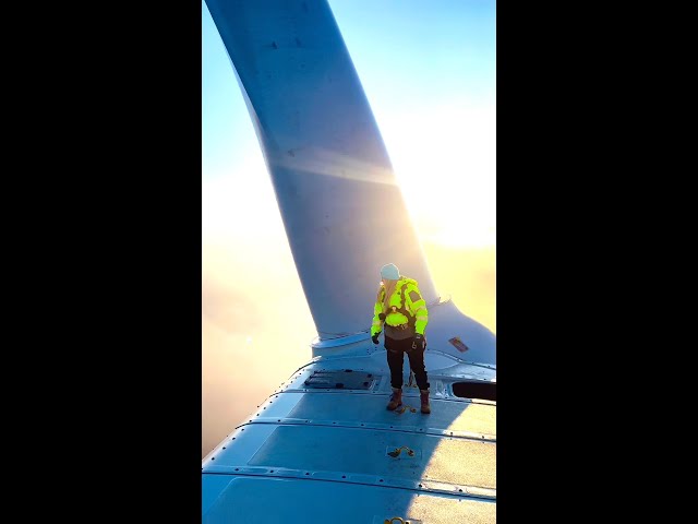 Dreamy Wind Worker Views