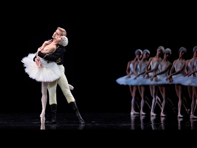 Musicians' Insights: Cordula Merks on Swan Lake