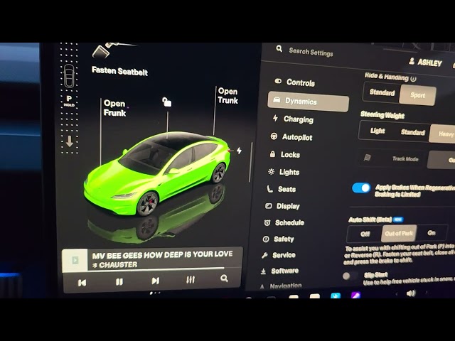 2025 TESLA MODEL 3  HOW TO PUT IN DRIVE AUTOMATICALLY