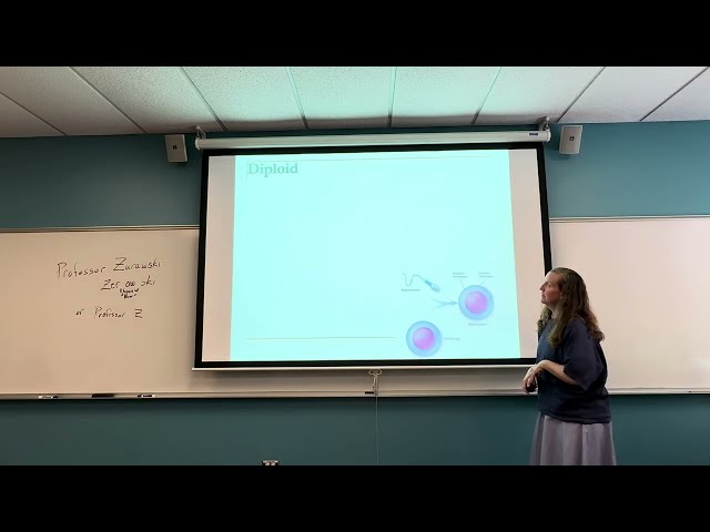 Cell Division Part 1 Binary Fission and Start of Mitosis