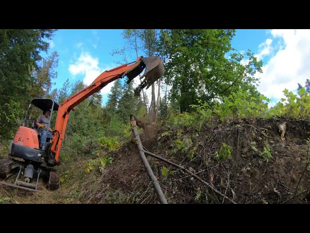 clearing trees