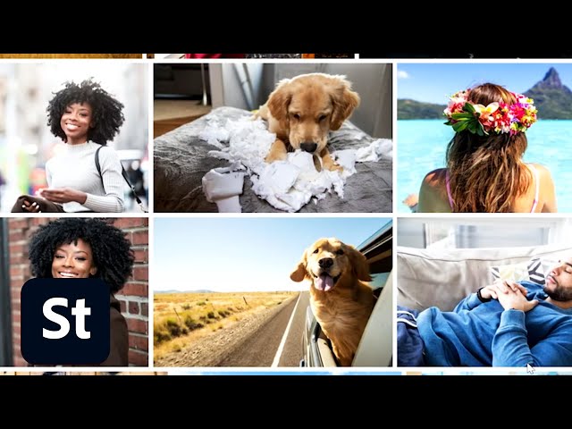 Quick Class 10 of 10 | Customize Your Stock Portfolio and Create a Collection | Adobe Creative Cloud