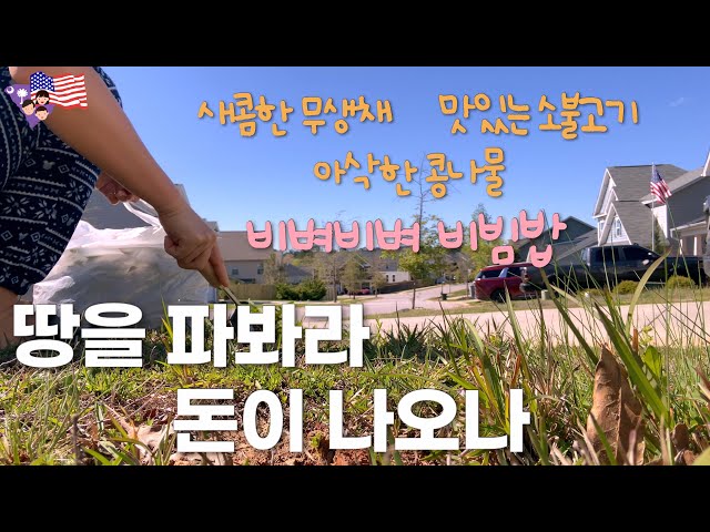 [미국일상 VLOG] 새콤달콤 무생채 만들어서 비빔밥🍳, 잡초와의 전쟁, 민들레 제거, 조잘조잘, 너 그거 알지~?, 알리주문, 사과 할줄 아는 사랑스런 봄, 4살 육아🇺🇸