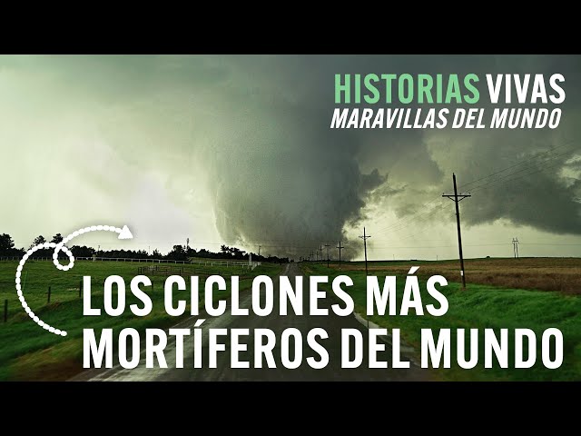 Los ciclones MÁS POTENTES de la Tierra | Historias Vivas | Documental de catástrofes naturales