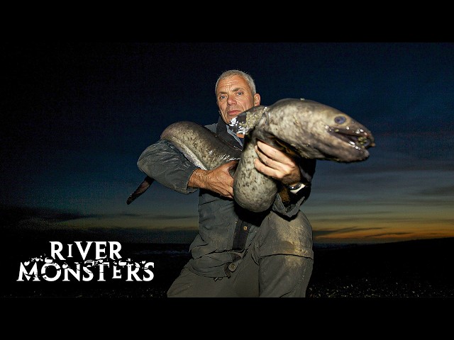 River Monsters Full Episode - Season 3, Episode 1 - Flesh Ripper