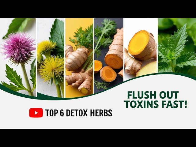 Detox Your Body Naturally—6 Herbs & Tea Recipe Inside!#detoxtea