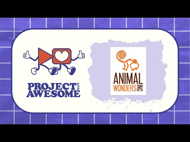 Animal Wonders: Project for Awesome 2025