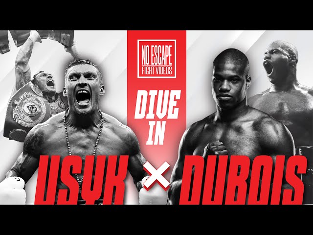 Dive In: USYK vs DUBOIS Breakdown