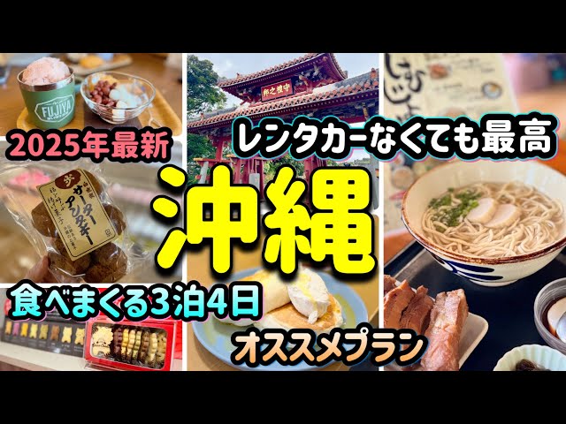 【沖縄】レンタカーなくても最高に楽しい3泊4日/絶対食べるべき王道グルメ/並んでも買って欲しい幻のサーターアンダギー/2025年1月最新/OKINAWA Day2🌺